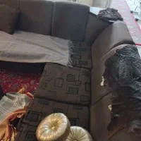 مّبل ال|مبلمان خانگی و میز عسلی|تهران, صادقیه|دیوار