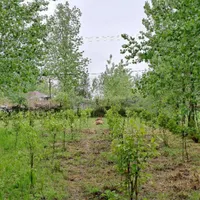 کارگر مزرعه و دامداری