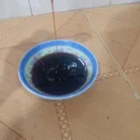 شیره‌خرمالوی‌جنگلی