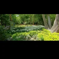 کمک فوری نیاز دارم