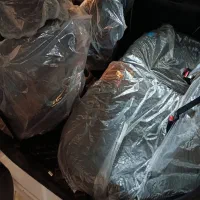 207پانا مدل 1403|خودرو سواری و وانت|کرمان, |دیوار