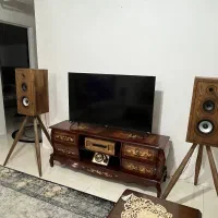 اسپیکر کواکسیال خانگی اینفینیتی