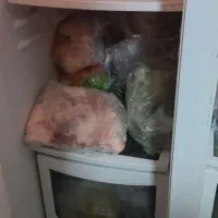 یخچال سایددو