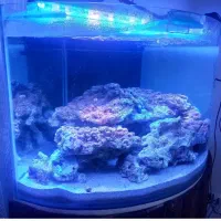 اکواریوم تمام مجهز|ماهی|مشهد, بهمن|دیوار