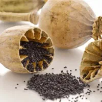 ترک اعتیاد بدون درد و خماری (تضمینی)