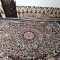 فرش|فرش|تربت جام, علوی|دیوار