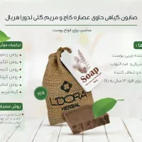 صابون گیاهی کاج وگیاه مریم‌گلی لدورا باتخفیف ویژه|آرایشی، بهداشتی، درمانی|لاهیجان, انقلاب|دیوار