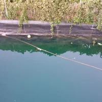 باغ انگور|فروش دفتر صنعتی، کشاورزی، تجاری|ارومیه, |دیوار