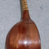 سه تار هاتف ملکشاهی|سازهای سنتی|تهران, آذری|دیوار