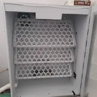 دستگاه جوجه کشی