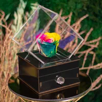 باکس وجعبه گل رزجاودان نارسی هدیه|گل و گیاه طبیعی|تهران, دولاب|دیوار