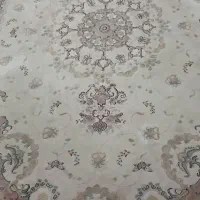 ۲تخته فرش ۹متری پاتریس گل برجسته کرم وصورتی|فرش|صومعه‌سرا, |دیوار