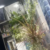 منزل-جاده-پازنون-اجاره