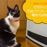 بخاری ژاپنی بدون دودکش|بخاری، هیتر، شومینه|کرمان, |دیوار