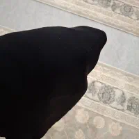 چادر مشکی ژاپن اصل