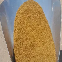 بذر یونجه تخم یونجه همدان سورت شده