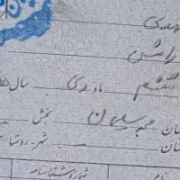 مدارک گم شده