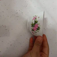 ظروف چینی گل سرخ|ظروف سرو و پذیرایی|قم, علی آباد سعدگان|دیوار