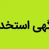 استخدام  نیروی کار