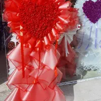 گالری گل هیرمان (روز دختر)