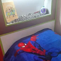 تخت نوجوان پسر و دختر|تخت و سرویس خواب|تهران, سازمان برنامه شمالی|دیوار