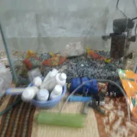 اکواریوم و وسایل|ماهی|اهواز, کوی باهنر|دیوار