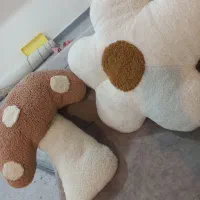 کوسن گل و قارچ