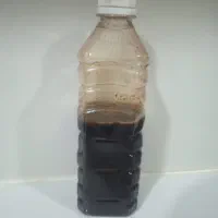 رب انار امسال
