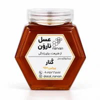عسل طبیعی نارون، عسل گون، کنار، چهلگیاه و خارمریم|خوردنی و آشامیدنی|تهران, شهرآرا|دیوار