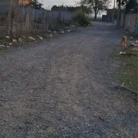 زمین مسکونی