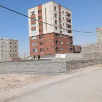 زمین-موحدی-نیا