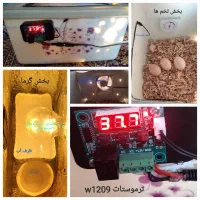 دستگاه جوجه کشی نیمه اتومات ۲۰تایی