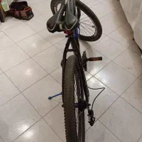 دوچرخه|دوچرخه، اسکیت، اسکوتر|تهران, درختی|دیوار