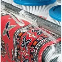 قالیشوی پیشرفته نفس