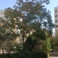 خدا کرم جدید آپارتمان 94 متر|فروش آپارتمان|کرج, کوی زنبق|دیوار