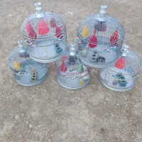 قفس پرنده