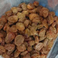 الوبخارا بوانات|خوردنی و آشامیدنی|شیراز, مسلم|دیوار