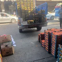 سلام نیسان  بار به تمام نقاط|خدمات حمل و نقل|فردوس (خراسان), |دیوار