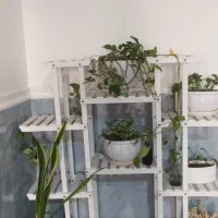 فروش استند و گل