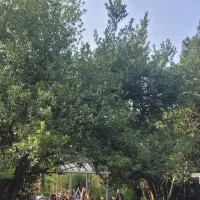 برای یوگا سپاسگزارم‌