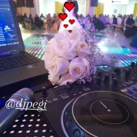 دیجی خانم و تشریفات صفر تا صد مناسب ترین قیمت