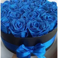 باکس ۱۹شاخه ابی کاربنی