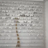 دو مدل پرده