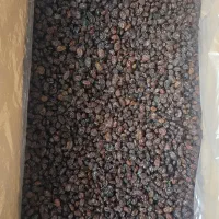 کشمش آفتابی پلویی