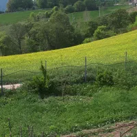 زمین-هزار-متری-در-بهترین-موقعیت-مکانی-روستای-ورند