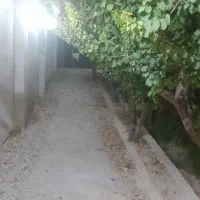 باغچه وباغ لاکچری ۶۲۰متری بااستخرسرپوشیده|اجارهٔ کوتاه‌مدت ویلا و باغ|شهریار, شهرک مصطفی خمینی|دیوار