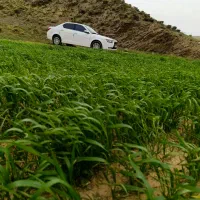 دنا پلاس شش دنده ef7pمدل ۱۴۰۳|خودرو سواری و وانت|همدان, |دیوار