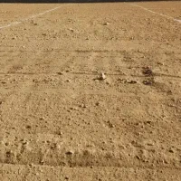 فروش قطعه زمین هشتصد متری واقعی خوش قواره ماریان