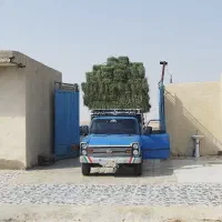 خدمات.حمل و جابجایی بار با وانت نیسان(سایپا)|خدمات حمل و نقل|بهبهان, |دیوار