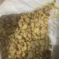 ۳تن باقالی بشرط وتضمینی پخت محصول خودم